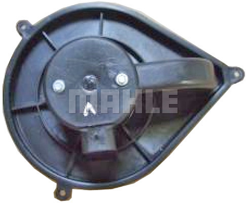 WG2179743