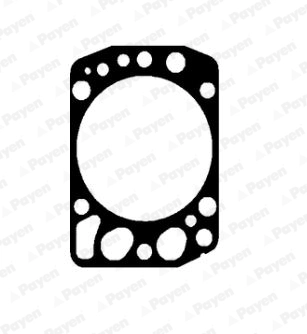 WG2202321