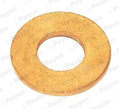 WG2046546