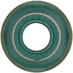 WG1004644