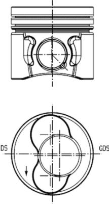 WG1016623
