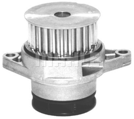 WG2181518