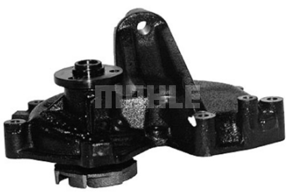 WG2181627