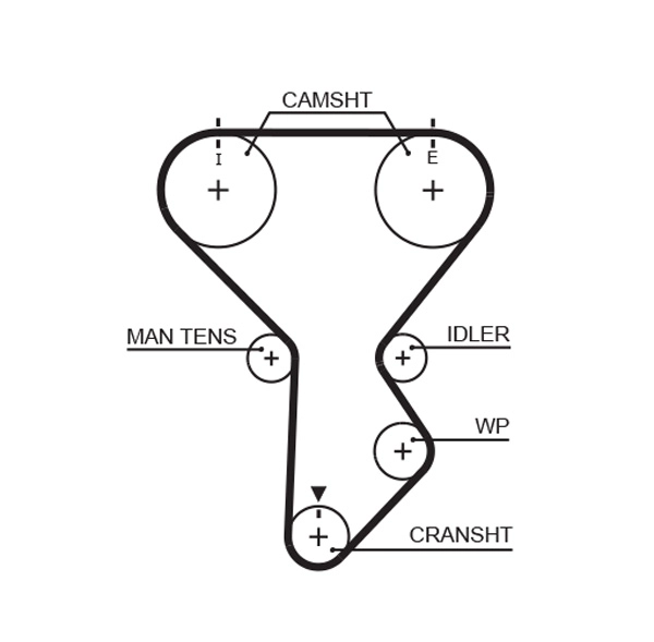 WG2305563
