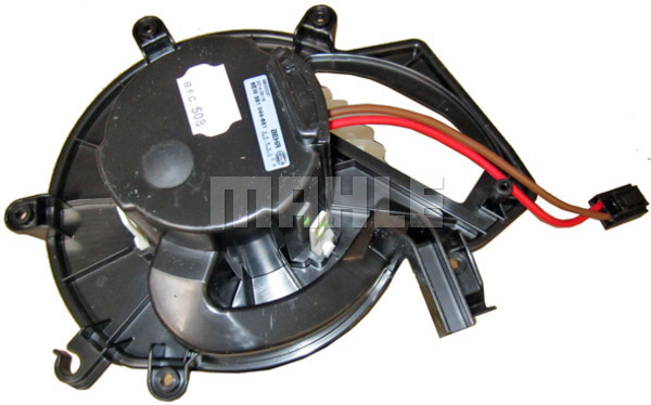 WG2179814