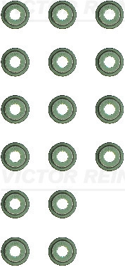WG2102096