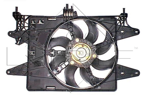WG1720206