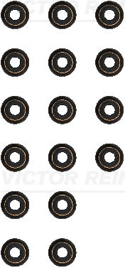 WG2102101
