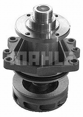 WG2181409