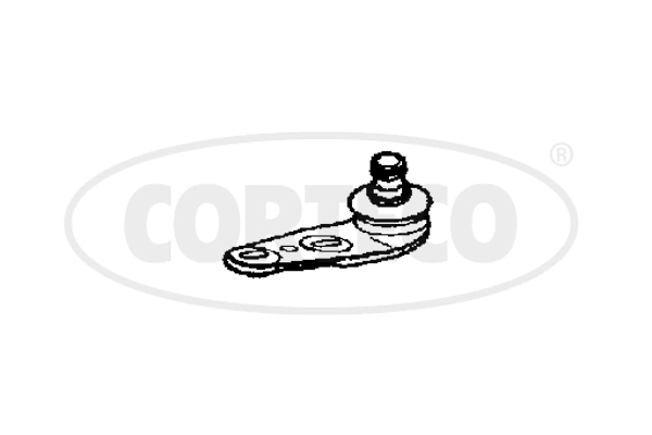 WG2291312