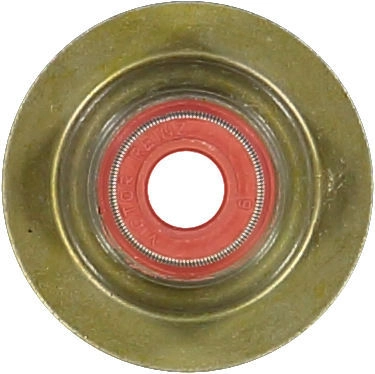 WG1004669