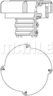 WG2184228