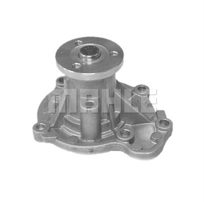 WG2181696