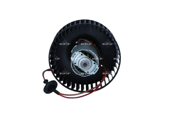 WG2160192