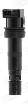 WG2009289