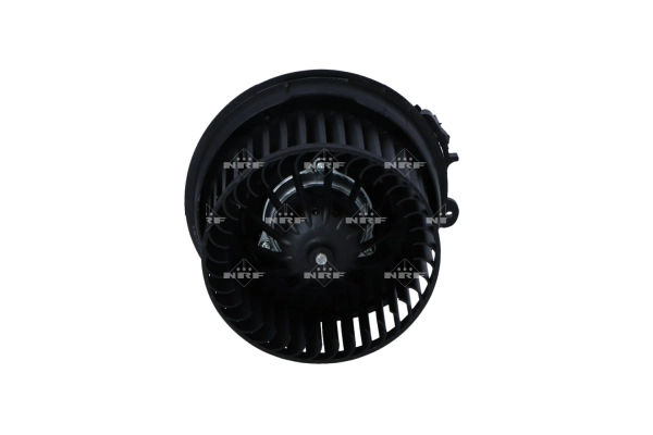 WG2160094