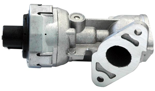 WG1408694