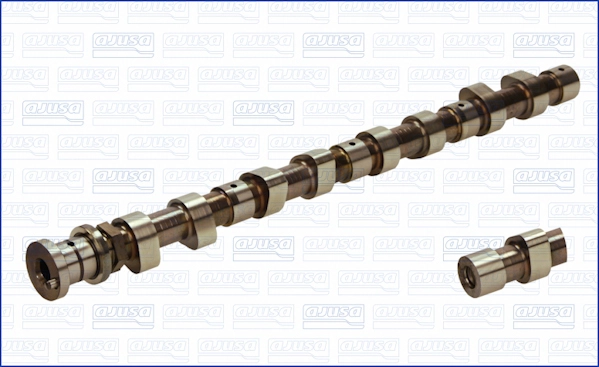 WG1456501