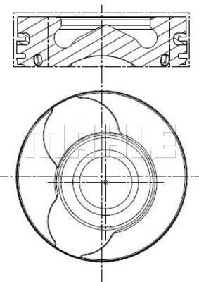 WG1202296