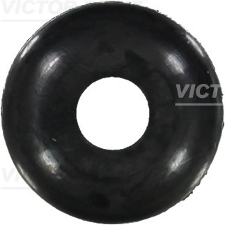WG1245897