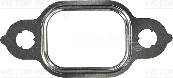 WG1248449