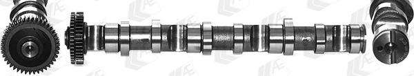 WG1462570