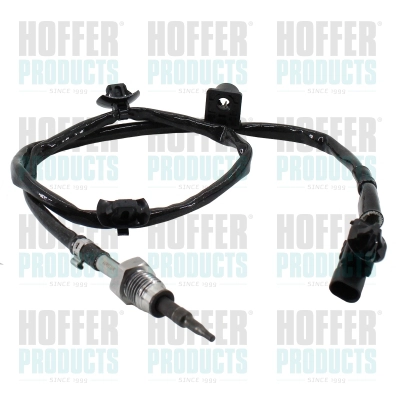 WG2262929