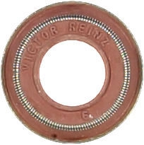 WG1004683