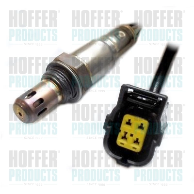 WG1749019