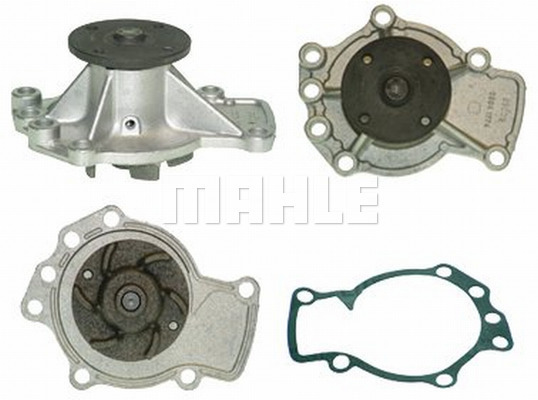 WG2181504