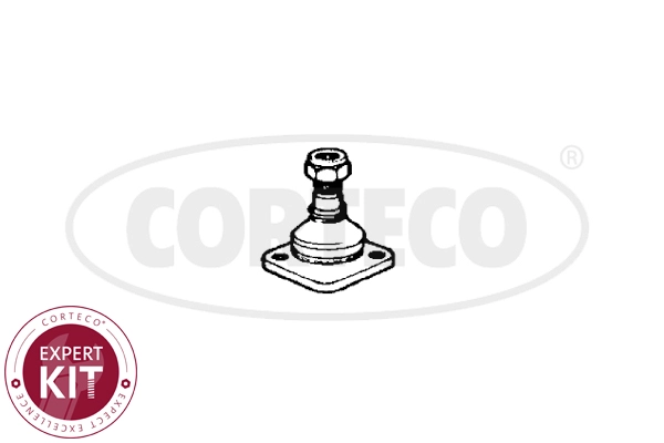 WG2290702