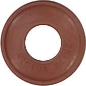 WG1004637