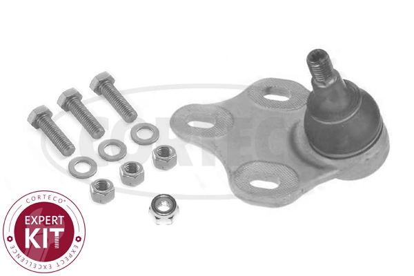WG2288494