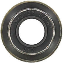 WG1004671