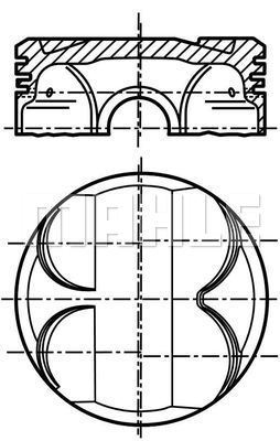 WG1261174