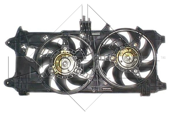 WG1720207