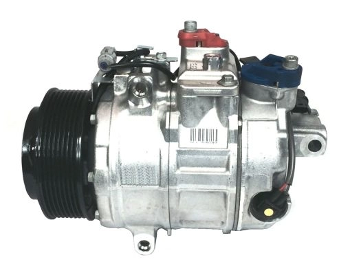 WG2260646