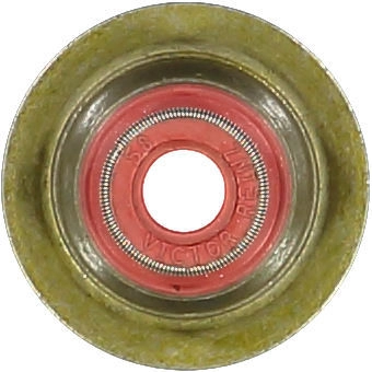 WG1004713