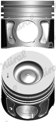 WG2202265