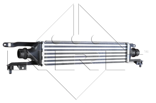 WG1724065