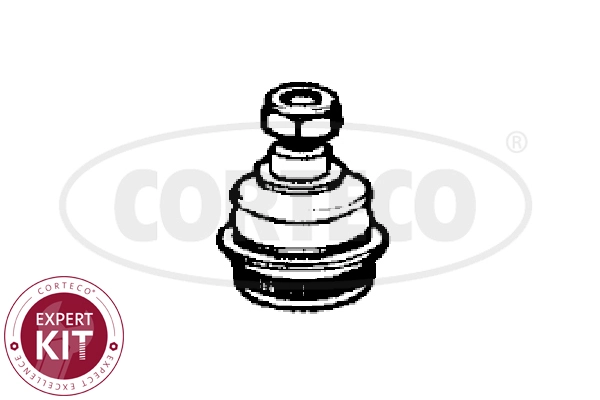 WG2291819