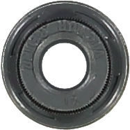 WG1705605