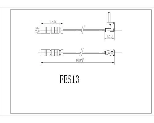 FES13