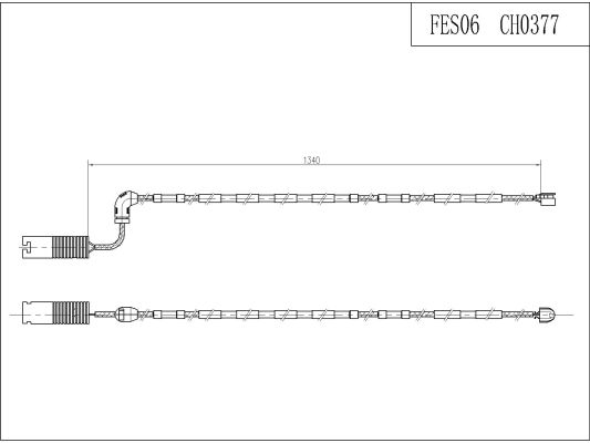 FES06
