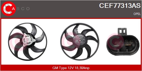 CEF77313AS
