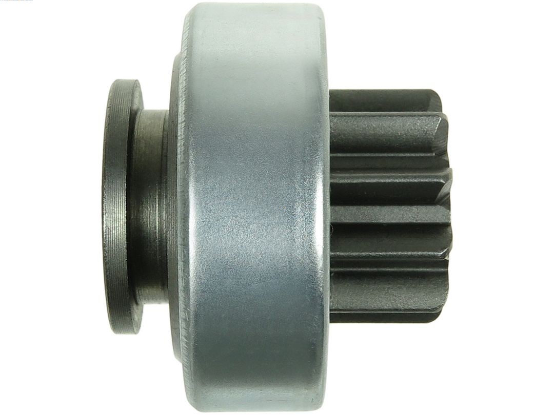 SD2025