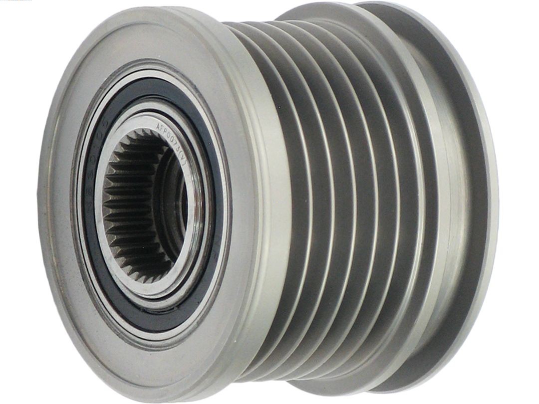 AFP0073(V)
