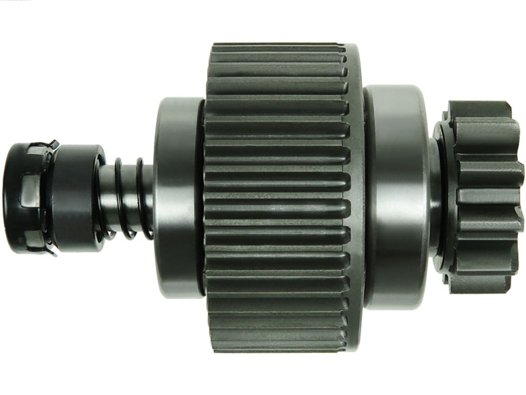 SD2024