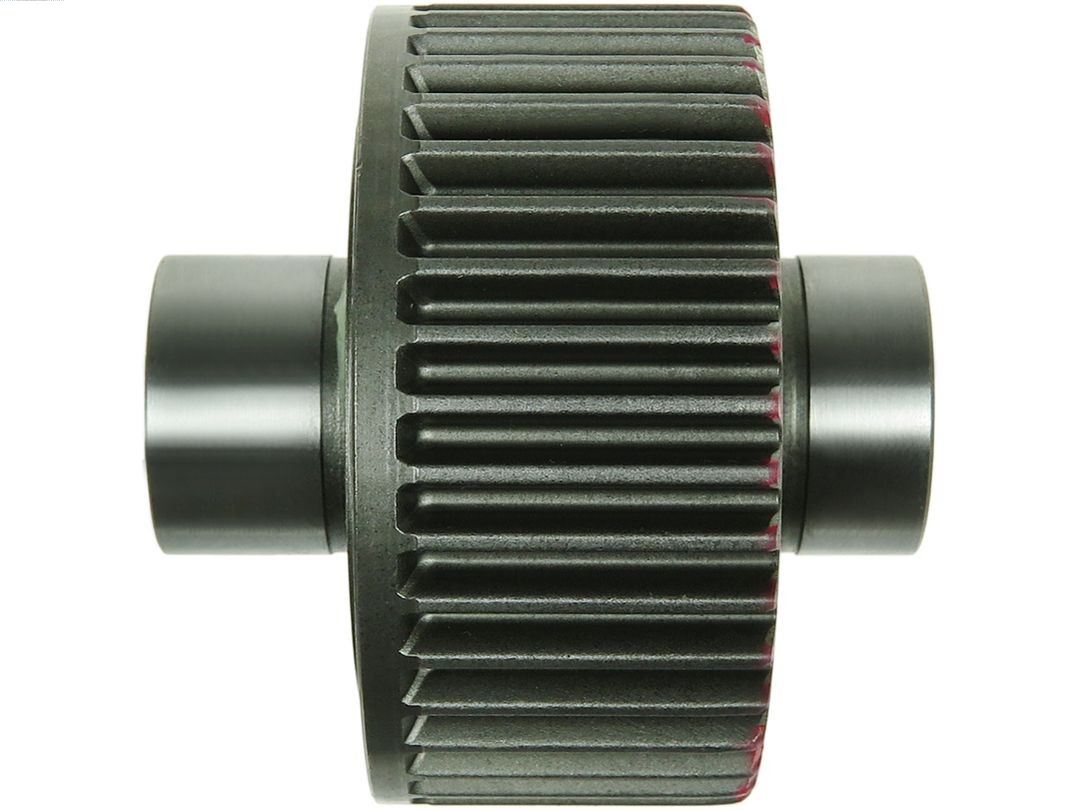 SD2019