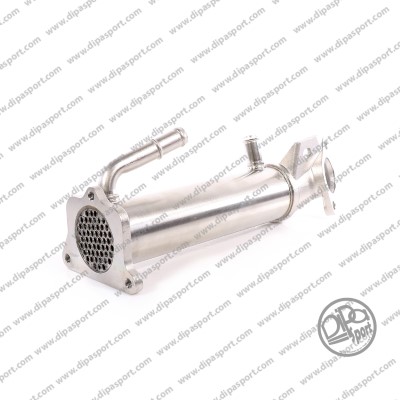 EGR363